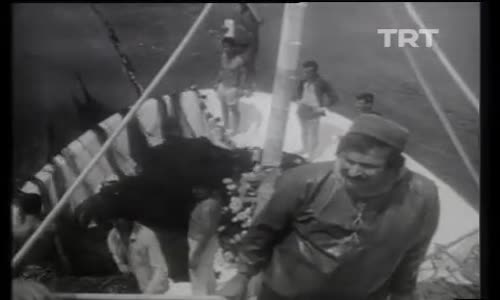 Kamil Sönmez-Gemiciler Kalkalım Şu Yelkeni Takalım izle