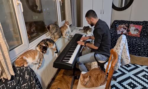 Forrest Gump ????????????????????????❤????