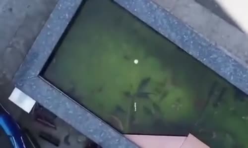 Drone ile Balık Avı 