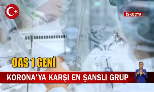 Koronavirüse Karşı En Şanslı Grup! OAS1 Gene Sahip Olanlar Hastalanmıyor! İşte Detaylar