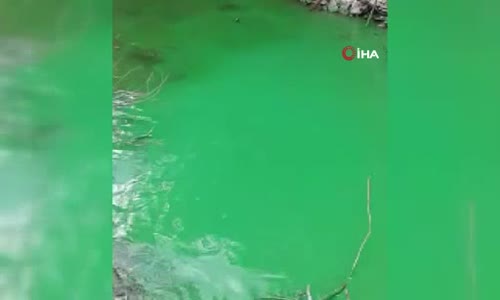 Sultangazi’de baraj suyu yeşile döndü