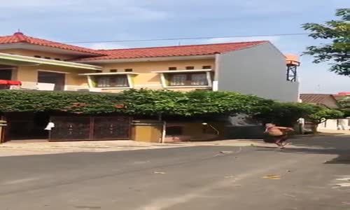 tenis topuna inovasyon yapan adam