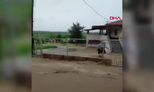 Düzce’de sağanak; dereler taştı, evleri su bastı