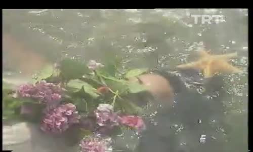 İlhan İrem-Anlasana izle