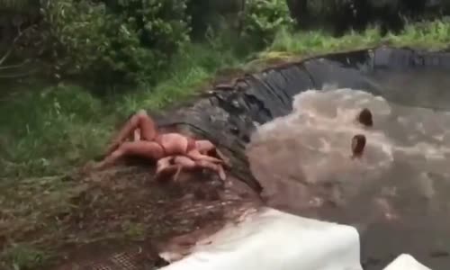 Bikinili Kızların Havuz Eğlencesinde Taklaya Gelmesi