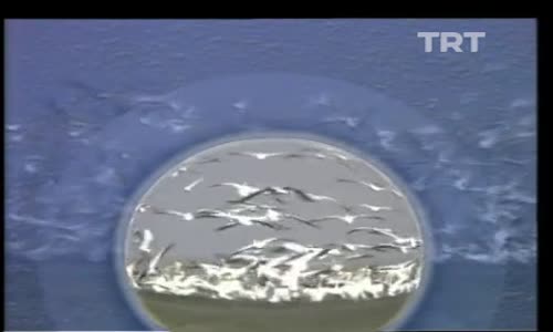 Türkü Türkü Türkiyem 3.Bölüm