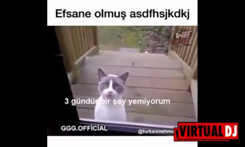 Dj Kedi Ablacım Dilenci Değilim Remix 2017