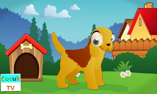 Köpeğim Hav Hav Der - Köpeğim Benden Ne İster? - 7 Çocuk Şarkısı