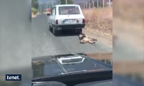 Bunu Yapan İnsan Olamaz