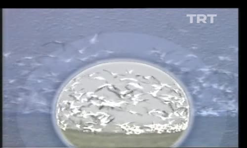 Türkü Türkü Türkiyem 58.Bölüm