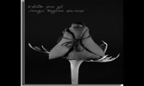 Alpay Eylülde Gel Demiştim