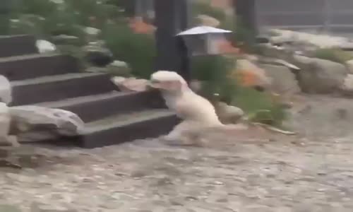 Zorluklarla yüzleşen kişi, güçlü olmayı hak eder.