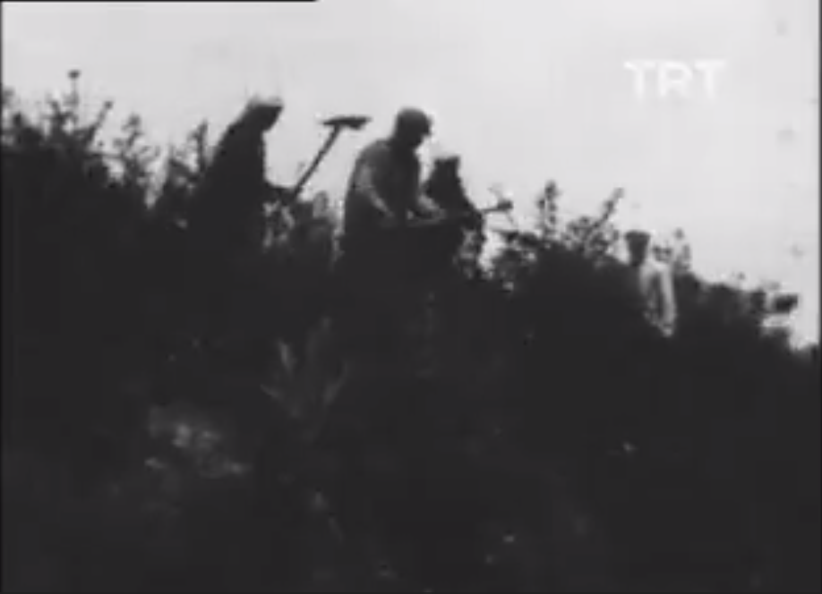 Viranşehir Ceylanpınar Çiftliği İzle