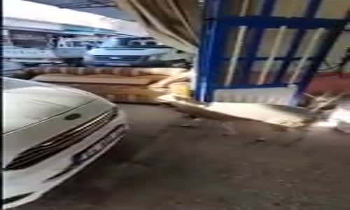 Sahibini Koruyan Koç