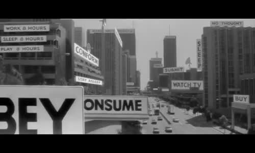 Pandemic Policies, Lockdowns, and the Economic Shock Explained