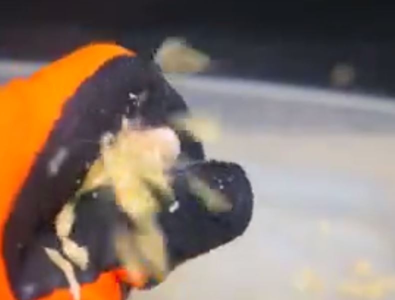 Çakmağı Sıvı Nitrojen İçine Koyarsanız Ne Olur?