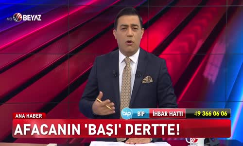 Afacanın başı dertte!