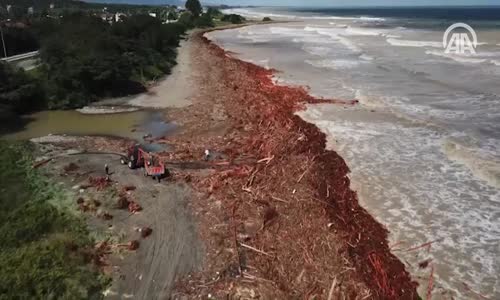 Selin Denize Sürüklediği Fındık Ağaçları Havadan Görüntülendi