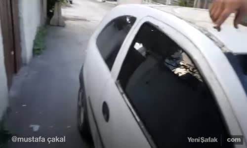 Arabanın Tavanından Çıkanlar Görenleri Şoke Etti