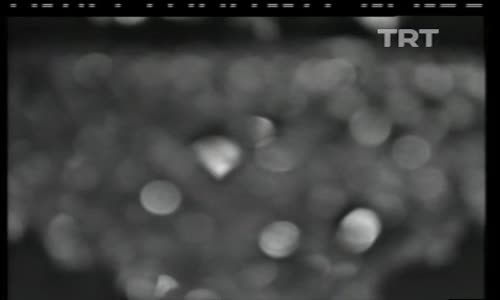 Zeki Müren-Nerden Düştüm Ben Bu Aşka izle