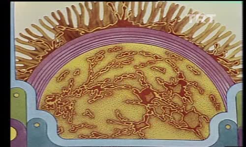 Teleskop 9.Bölüm izle