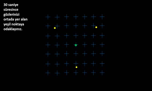 Gözlerinize Ne Kadar Güveniyorsunuz?