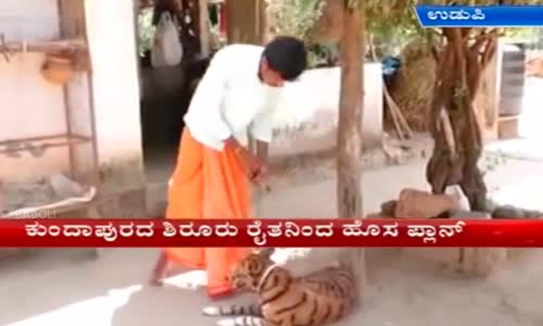 Maymunlardan Korumak İçin Köpeğini Kaplana Çeviren Çiftçi