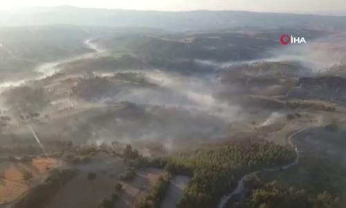 Manisa'daki orman yangını kontrol altına alındı 