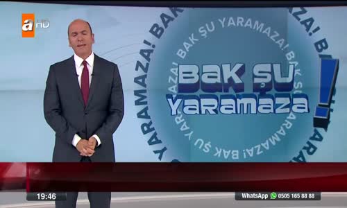 Alaturka Kedi Operasyonu