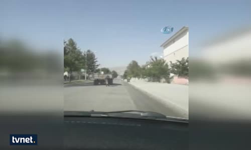 Ata Resmen İşkence Yapmışlar!