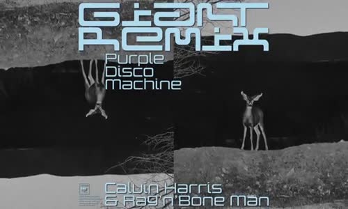 Calvin Harris, Rag'n'Bone Man - Giant (Purple Disco Machine Remix)