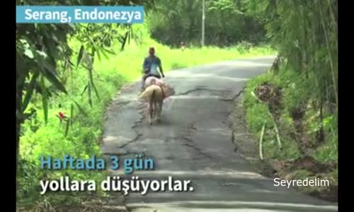 Köy Köy Dolaşıp Kadın ve Çocukları Kitaplarla Buluşturuyorlar.