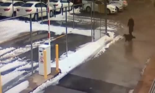 Kadının Kafasına Bariyerin İnmesi