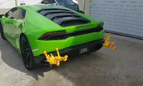 Lamborghini Egzozuna Oyuncak Tavuk Tıkamak