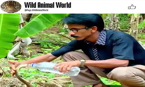 Her Canlı Eğitilebilir, Her Canlının Eğitim Süreci Farklıdır.