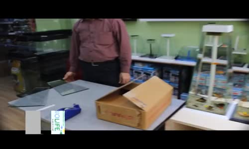 Biolife  Nano Akvaryum Yapımı