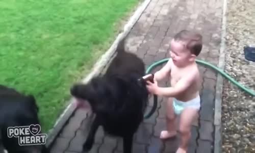 Köpeklerle Oyanayan Bebek