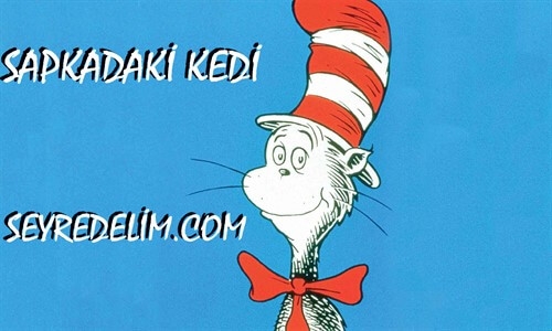 Şapkadaki Kedi 12. Bölüm