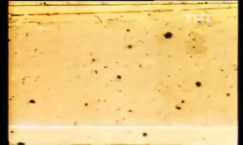 Akarsularımız Barajlarımız 2.Bölüm