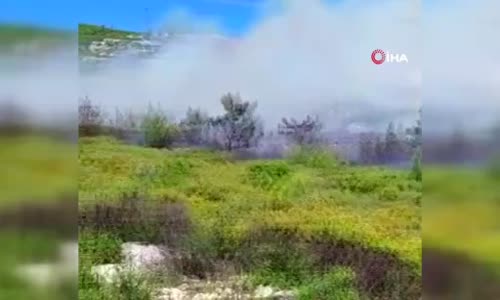 İzmir'de iki ilçede orman yangını 