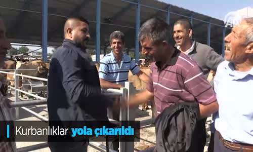 Kurbanlıklar Yola Çıkarıldı