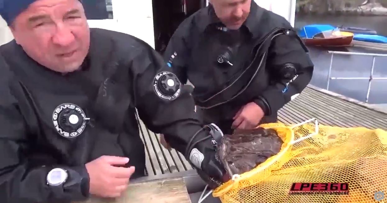 Monk Balığına Kolunu Kaptıran Dalgıç