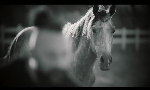 Hayko Cepkin - Cahil Nadanla 