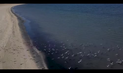 Nurcan Altınok - Araftayım