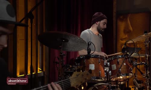 Asli Demirer - No Roots