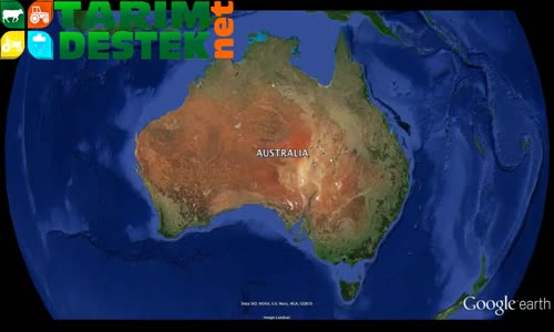 Avustralya'da Ceviz Üretiminde Gelinen Son Nokta
