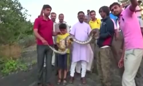 Pitonla Selfie Çektirmek İsteyen Adamın Hazin Sonu