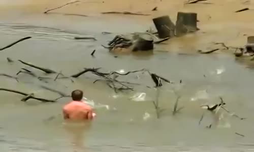 Adama Saldıran Balık