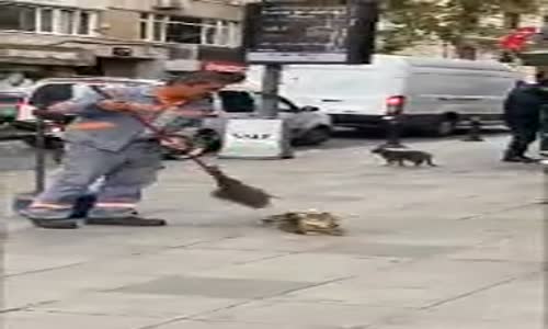 Temizlik Görevlisi ile Kedi Arasındaki Dostluk 