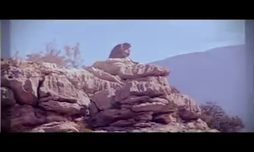 Ömer Danış   Kahpelik Son Moda